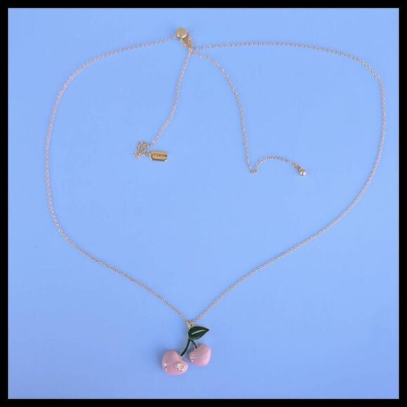 Coach Pink Cherry Signature Slider Necklace - Picture 6 of 9